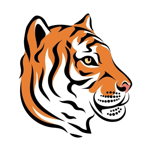 tiger head stylized illustration oriental zodiac symbol tiger face vector removebg preview